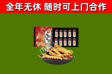 共青城市烟酒回收冬虫夏草礼盒.jpg